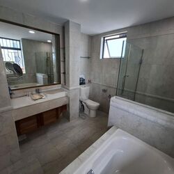 Twin Heights (D12), Apartment #502897141